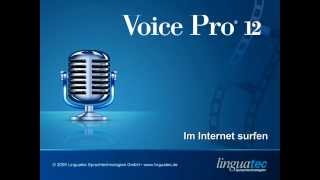 Voice Pro 12 Spracherkennung im Internet surfen per Sprache [upl. by Ailaroc579]