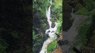 Stock Ghyll Force Waterfall asmr Ambleside Lake District UK waterfall asmr lakedistrict [upl. by Novahc]