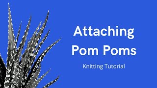 How to Add a Removable Pom to a Hat [upl. by Ynnus]