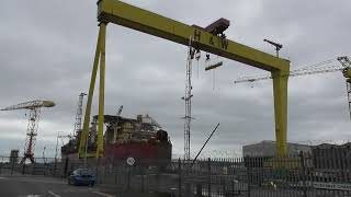 Down at Harland and Wolff Cranes Belfast Again [upl. by Ashmead]