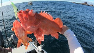 FIRST TIME Driving to FARALLON ISLANDS  Rockfish Lingcod Fishing [upl. by Winne]