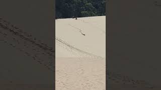 Sandboarding Tangalooma Desert Moreton Island QLD [upl. by Attennaej163]