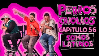 PERROS CRIOLLOS  SOMOS LATINOS CAP 56 [upl. by Caldeira810]