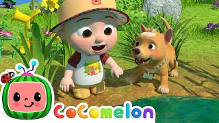 Down by the Pond  CoComelon Nursery Rhymes amp Kids Songs [upl. by Ariaet]