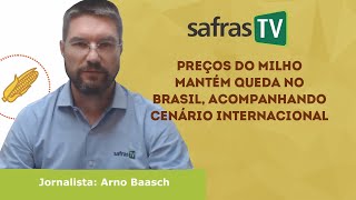 Preços do milho mantém queda no Brasil acompanhando cenário internacional [upl. by Nylear500]