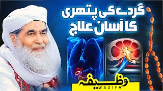 Pathri Ke Liye Qurani Wazifa  Wazifa For Kidney Pain  Pathri Ka Wazifa  Maulana Ilyas Qadri [upl. by Adyl314]