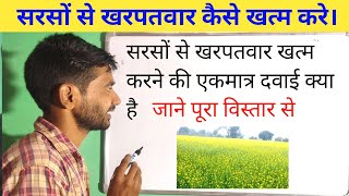 सरसों की फसल से खरपतवार को कैसे ख़त्म करे  Mustard Herbiside mustardfarming [upl. by Nafri634]