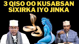 3 Qiso┇Sixirka amp jinka┇SH XASSAN SH MAXAMED ISMACIIL [upl. by Reedy337]