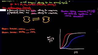 Enzymes  Catalysts [upl. by Tella191]