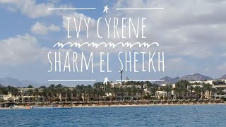 Ivy Cyrene Hotel Sharm El Sheik Egypt [upl. by Anitnerolf]