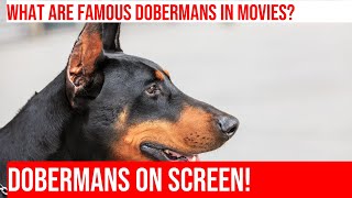 Famous Doberman Pinscher Actors amp Movies  A Movie Lovers Guide [upl. by Kubis409]