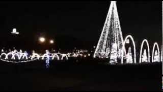 Shadracks Christmas Wonderland In Sevierville Tennessee [upl. by Sella]