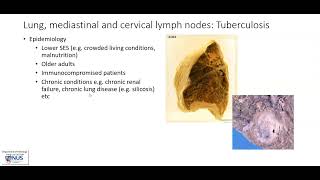 Lung mediastinal and cervical lymph nodes Tuberculosis TB Gross pathology [upl. by Lavro]