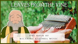 【1 HOUR】Leaves from The Vine Relaxing Kalimba Cover for Sleeping amp Tearbending [upl. by Faber377]