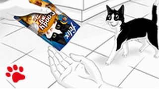 Clever Cats pick Felix Treats every time [upl. by Lagasse]