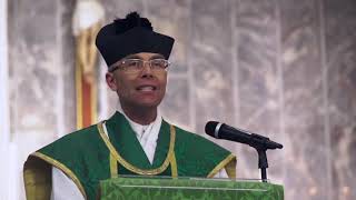 Fr Armand De Malleray FSSP gives a sermon on the episode in the Gospel of Cae [upl. by Hcurab]