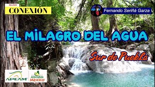 EL MILAGRO DEL AGUA EN EL SUR DE PUEBLA [upl. by Ime]