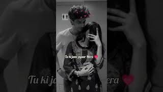 Mai Tainu Smajhavan Ki 😊💗 Love Song Status Couples WhatsApp Status Video song love shortvideo [upl. by Kerad44]