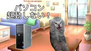 中学生の時はじめてハードオフでパソコンを買った時の話 猫マニ 猫ミーム [upl. by Soisanahta]