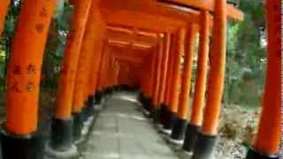 Voyage Japon Fushimi Inari Kyoto [upl. by Swanhildas]