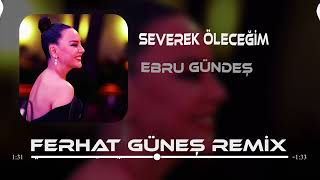 Ebru Gündeş  Bin Kere Gelsem Dünyaya  Ferhat Güneş Remix [upl. by Tremain259]