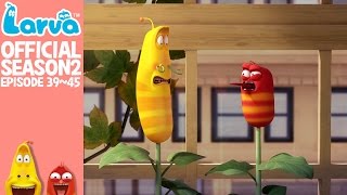 Official LARVA Season 2 Episode 39  45 [upl. by Paske808]