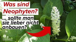 Was sind Neophyten  Fremde Arten in deinem Garten  Trotzdem anbauen oder lieber nicht [upl. by Libyc]