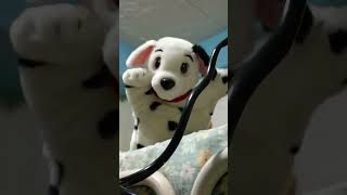 DALMATIAN PUPPY PUPPET [upl. by Kiyoshi152]