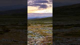 Golden Hour in the Norwegian Highlands 🌄🏞️ naturelovers [upl. by Lantha]