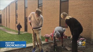 SpeechLanguage Pathologist Assisting Students Through Gardening In Tinley Park [upl. by Eleets]