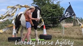 Silver Liberty Trophy Walk Only Horse Agility August 2024 [upl. by Sula]