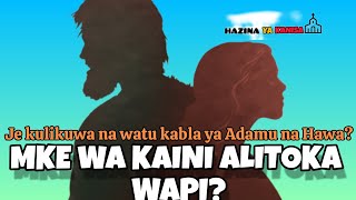 MKE WA KAINI ALITOKA WAPI Je kulikuwa na watu kabla ya Adamu na Hawa Na Mwl Vincent Mwakisyala [upl. by Simson619]