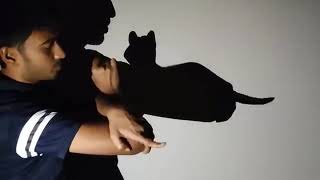 Hand shadow puppets taturiol Handicraft [upl. by Illib]