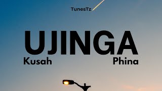 Ujinga Kusah ft Phina  Official lyrics video by TunesTz [upl. by Nodarb]