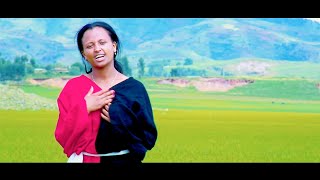 Shukkaaree Tolosaa  Yaa Sabboonaa  New Ethiopian Oromo Music 2023 Official Video [upl. by Etnom598]