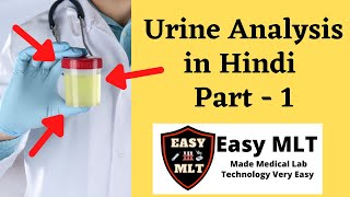 urine analysis test in hindi  urine analysis test part  1 in hindi  easymlt [upl. by Ynots]