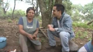 Frijoles de Olla Gorditas de Frijol y Salsa Roja hecha a Mano San Pedro Benito Juarez Puebla [upl. by Payson756]