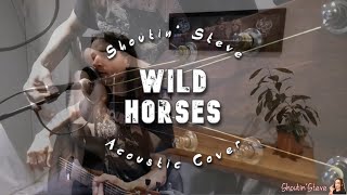 Wild Horses  The Rolling Stones  Acoustic Cover by Shoutin Steve [upl. by Humble]