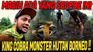 FULL EPISODE BONTANG MENCARI KEBERADAAN KING COBRA MONSTER HUTAN BORNEO [upl. by Nataniel]