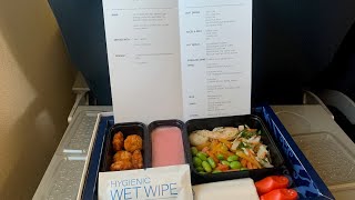 REVIEW KLM Business Class Amsterdam to London City Airport [upl. by Innavoeg831]