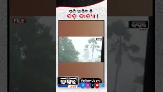 ପୁଣି ଆସିବ କି ବଡ ବାତ୍ୟା ytshorts shortsvideo odishabhaskar weatherupdate odisha cyclone [upl. by Assirak]