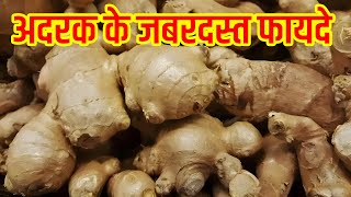 अदरक के इस्तेमाल से मिलेंगे ये 6 जबरदस्त फायदे  Ginger Health Benefits [upl. by Itin822]