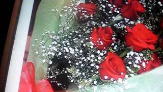 FRESCAS ROSAS canto para las madres [upl. by Eidnarb]