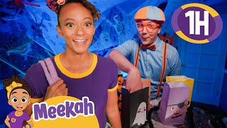 Blippi amp Meekah’s SillyScary Halloween Adventure  1 HR OF MEEKAH  Educational Videos for Kids [upl. by Judsen]