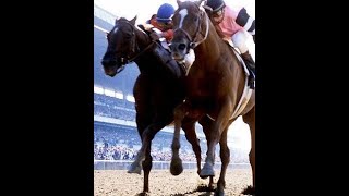 AFFIRMED VS ALYDAR The Triple Crown [upl. by Eelytsirk18]