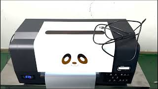 Procolored F13 Pro Panda DTF Printer Installation Guide [upl. by Bannasch]