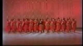 Cossack dance  Ukrainian dance [upl. by Mcevoy471]