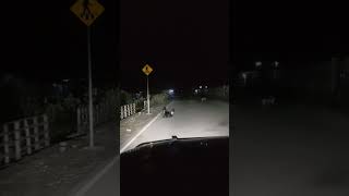 Goat sleeping on the road at night [upl. by Bruni250]