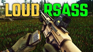 This Loud RSASS Build Is Surprisingly Good [upl. by Ailb]