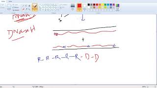 DNA REPLICATIONPrimase and RNase H [upl. by Akinwahs610]